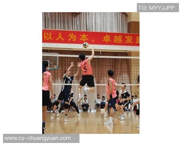 广州排球队在全国排球团队协作排名中创新高展现团结拼搏精神