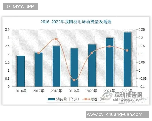 武汉篮球队技术表现深度解析与数据分析报告