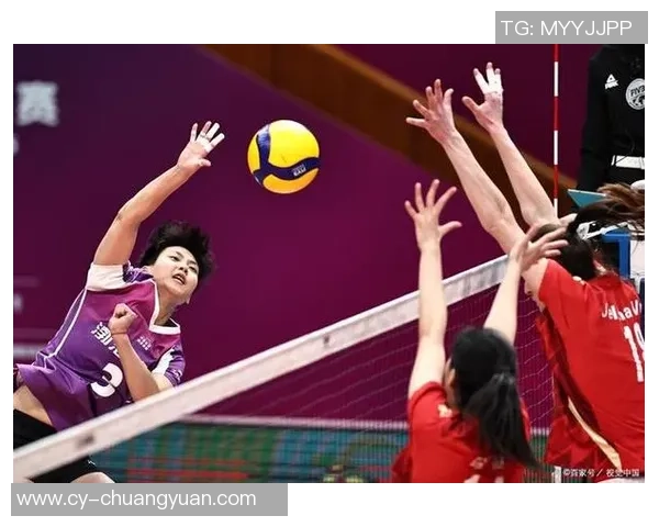 杭州排球队精英赛之路：拼搏与荣耀交织的奋斗故事